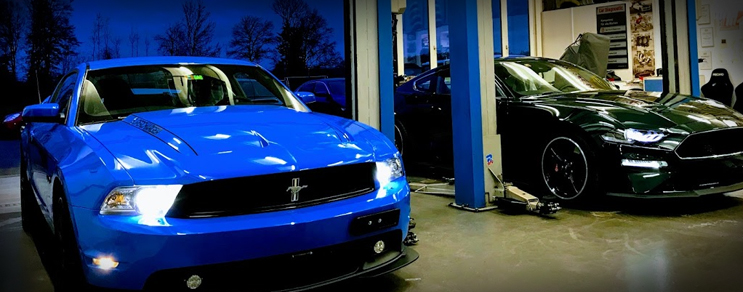 Mustang