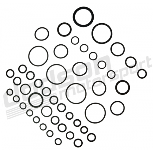 Dodson Motorsport O-Ring Kit